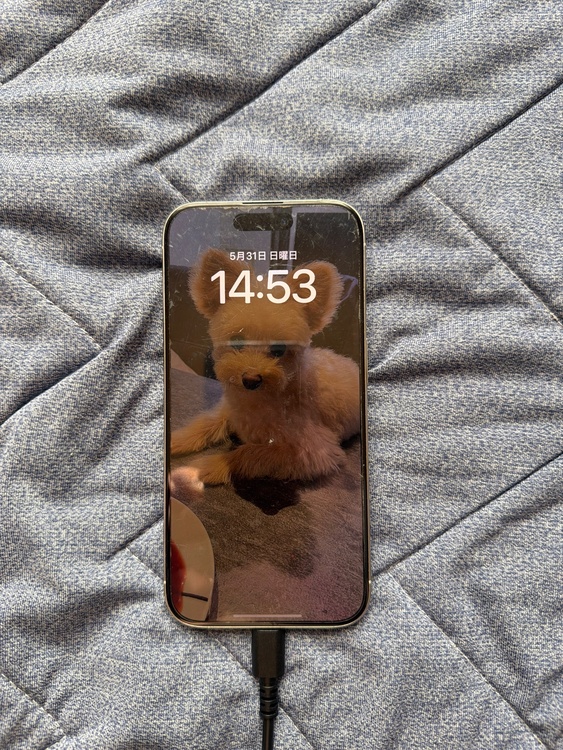 iPhone iPhone 15 Pro 256GB Softbank（スマホ）の商品画像 - 査定依頼日：2026年10月3日 - 最高査定価格：92,000円