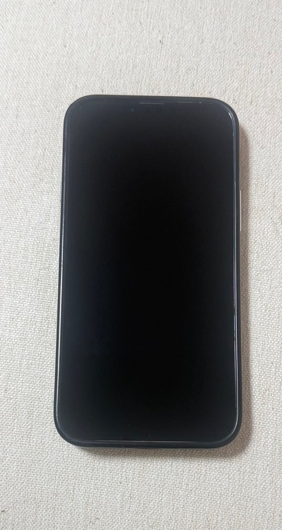 iPhone13プロMAX（カメラ）の商品画像 - 査定依頼日：2026年10月3日 - 最高査定価格：43,100円