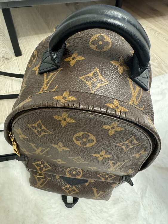 パームスプリングスバックパックMINI（ブランドバッグ）の商品画像 - 査定依頼日：2025年2月28日 - 最高査定価格：100,000円