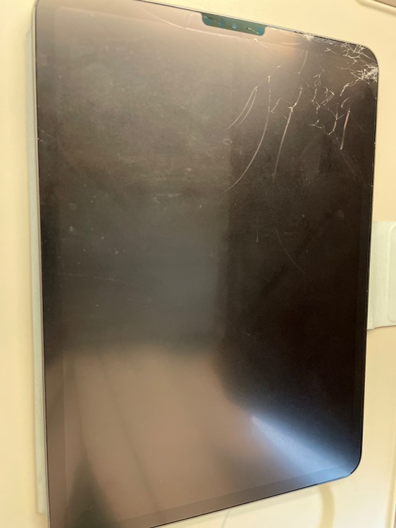 iPad Pro11インチ（第二世代）（PC・タブレット）の商品画像 - 査定依頼日：2025年7月21日 - 最高査定価格：19,000円