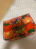 その他 フルラ （ブランドバッグ）の商品画像 - 査定依頼日：2025年7月23日 - 最高査定価格：5,000円