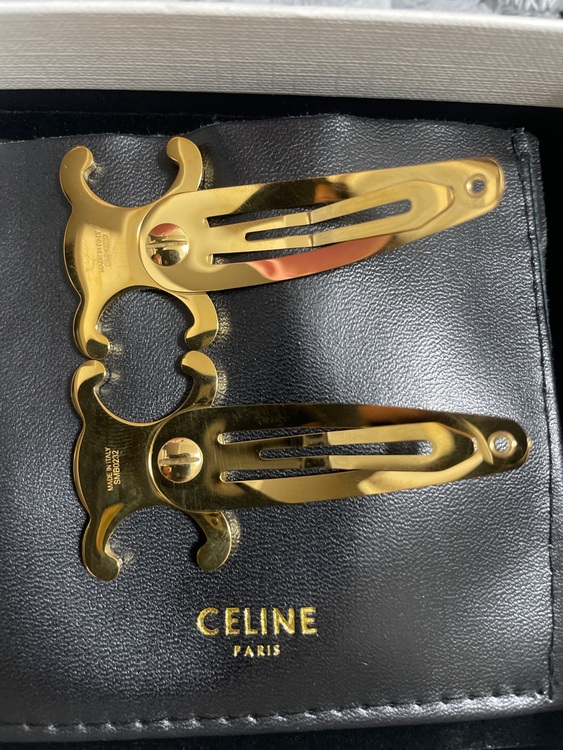 セリーヌ  （ブランドバッグ）の商品画像 - 査定依頼日：2025年11月7日 - 最高査定価格：30,000円