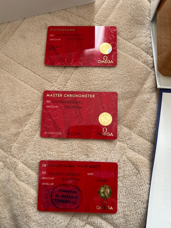 オメガ シーマスター 210-30-42-20-01-00（高級時計）の商品画像 - 査定依頼日：2026年2月2日 - 最高査定価格：600,000円