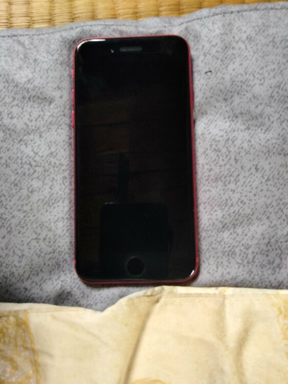 iPhone iPhone SE (第 3 世代) 64GB Softbank（スマホ）の商品画像 - 査定依頼日：2026年6月23日 - 最高査定価格：20,000円
