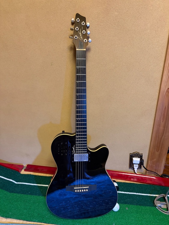 Godin model 6（ピアノ・楽器・PA機材）の商品画像 - 査定依頼日：2026年10月2日 - 最高査定価格：45,000円
