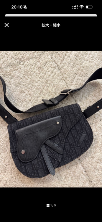 ディオール  （ブランドバッグ）の商品画像 - 査定依頼日：2026年3月24日 - 最高査定価格：150,000円