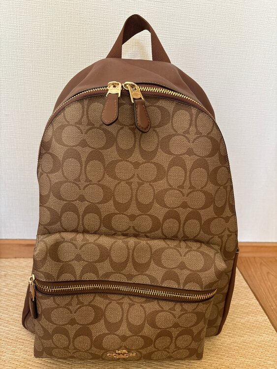 その他 コーチ （ブランドバッグ）の商品画像 - 査定依頼日：2025年4月17日 - 最高査定価格：4,000円