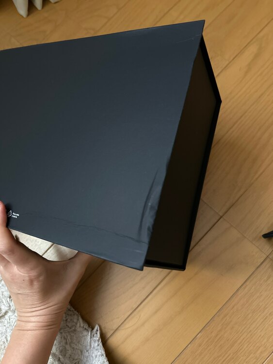 シャネル シャネル(その他) （ブランドバッグ）の商品画像 - 査定依頼日：2025年1月8日 - 最高査定価格：500,000円