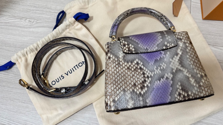 カプシーヌミニ（ブランドバッグ）の商品画像 - 査定依頼日：2026年3月29日 - 最高査定価格：550,000円