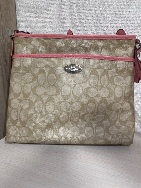 ショルダーバッグ（ブランドバッグ）の商品画像 - 査定依頼日：2026年2月13日 - 最高査定価格：2,000円