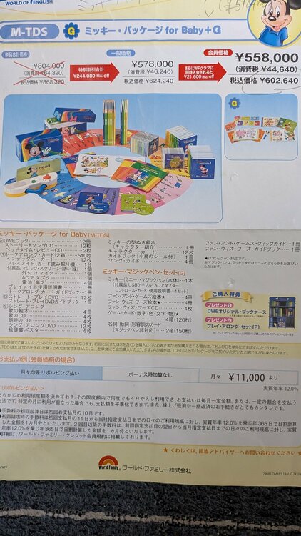 ディズニーワールドオフイングリッシュ（ベビー用品）の商品画像 - 査定依頼日：2026年6月11日 - 最高査定価格：2,000円
