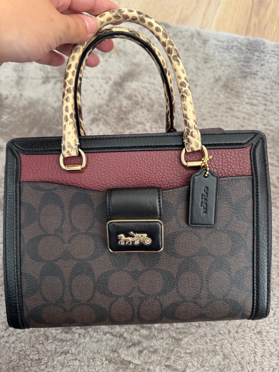 その他 コーチ （ブランドバッグ）の商品画像 - 査定依頼日：2025年6月21日 - 最高査定価格：8,000円