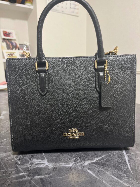 その他 コーチ （ブランドバッグ）の商品画像 - 査定依頼日：2025年2月24日 - 最高査定価格：8,000円