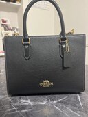 その他 コーチ （ブランドバッグ）の商品画像 - 査定依頼日：2025年2月24日 - 最高査定価格：8,000円