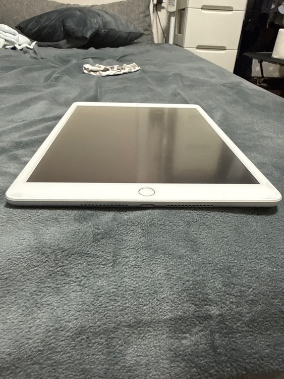 iPad（第8世代）Wi-Fiモデル（PC・タブレット）の商品画像 - 査定依頼日：2026年5月31日 - 最高査定価格：14,100円