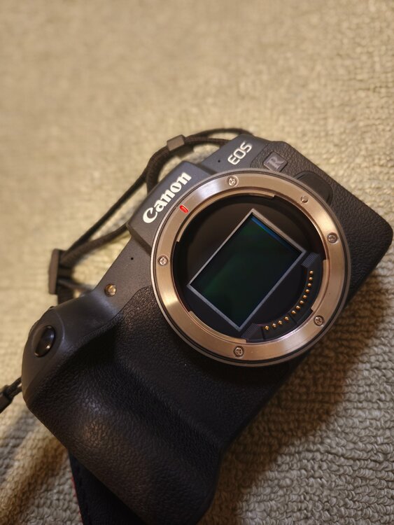 EOSRP（カメラ）の商品画像 - 査定依頼日：2026年1月28日 - 最高査定価格：65,000円