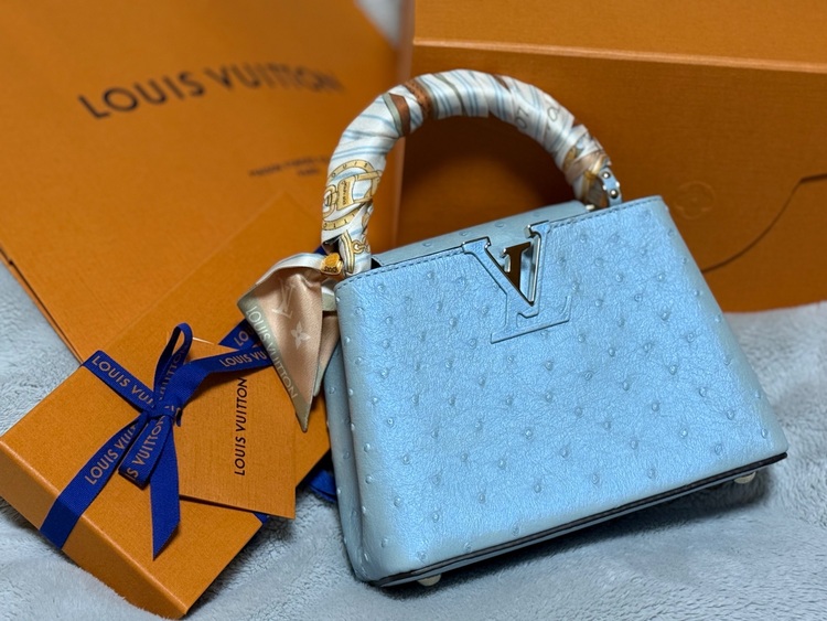 ルイヴィトン ルイヴィトン(その他) （ブランドバッグ）の商品画像 - 査定依頼日：2025年9月16日 - 最高査定価格：560,000円