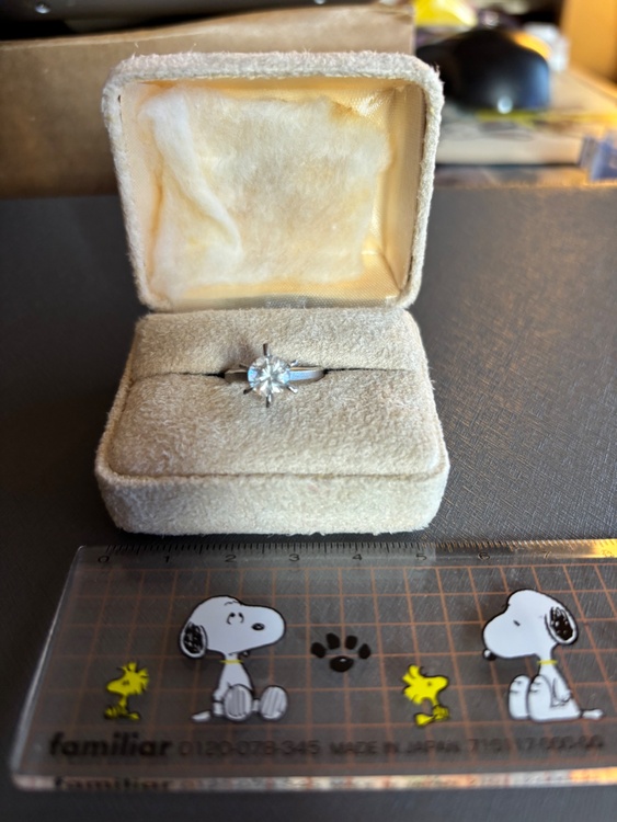 一粒タテヅメリング（宝石）の商品画像 - 査定依頼日：2026年1月16日 - 最高査定価格：600,000円