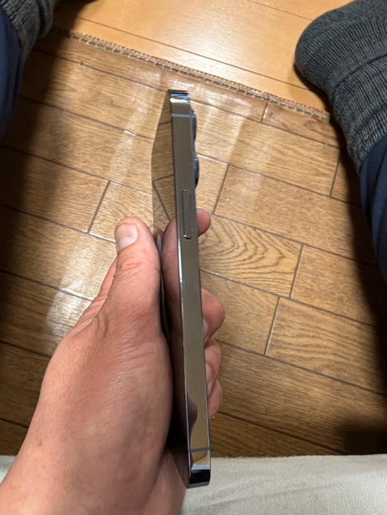 iPhone 13 Pro 256GB Softbank（スマホ）の商品画像 - 査定依頼日：2026年1月23日 - 最高査定価格：53,000円