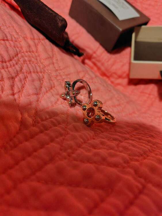 ルイヴィトン　リング（宝石）の商品画像 - 査定依頼日：2025年1月8日 - 最高査定価格：11,000円