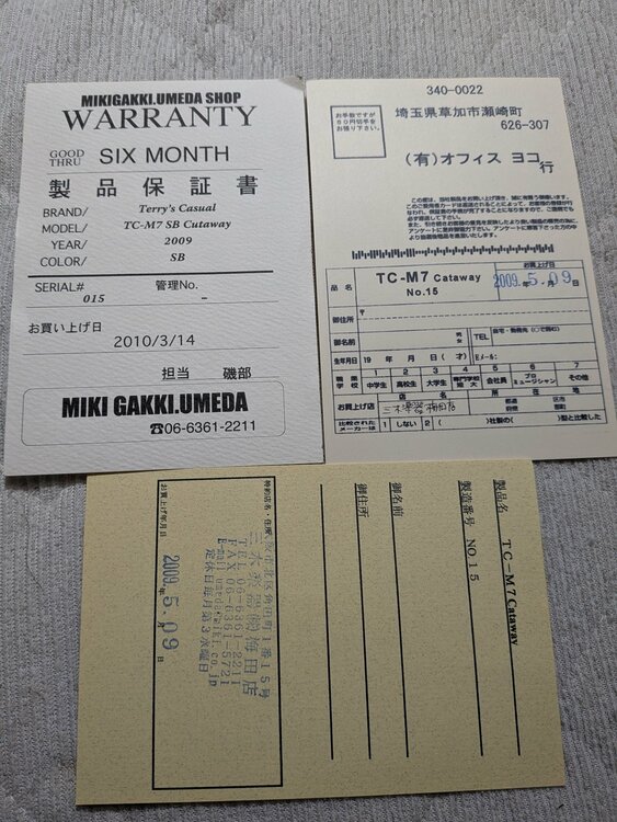 テリーズ・テリー　カジュアル　TC-M7　Cataway（ピアノ・楽器・PA機材）の商品画像 - 査定依頼日：2026年7月3日 - 最高査定価格：480,000円