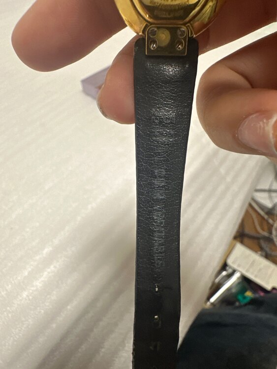 ディオール  （ブランドバッグ）の商品画像 - 査定依頼日：2025年4月29日 - 最高査定価格：15,000円