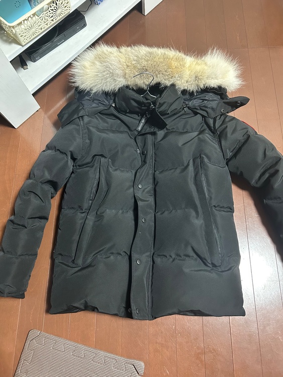 カナダグースダウン（古着・ファッション）の商品画像 - 査定依頼日：2026年1月9日 - 最高査定価格：30,000円