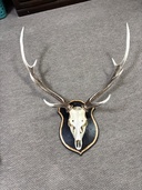 鹿の角（美術品・骨董品）の商品画像 - 査定依頼日：2026年2月21日 - 最高査定価格：100,000円