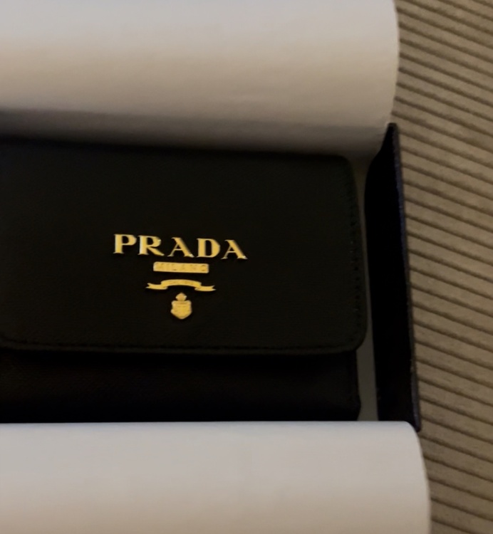 プラダ  （ブランドバッグ）の商品画像 - 査定依頼日：2025年12月18日 - 最高査定価格：50,000円