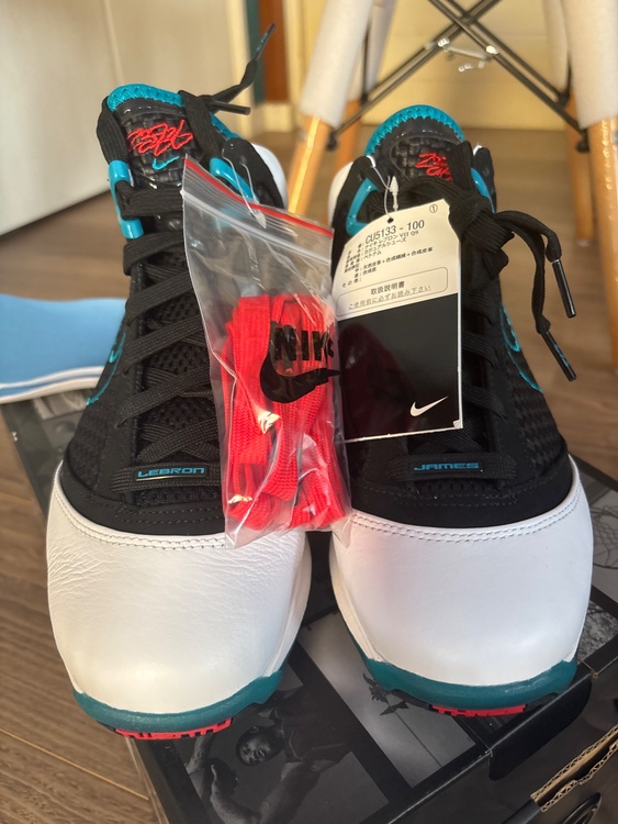 NIKE LEBRON V II QS 25cm（古着・ファッション）の商品画像 - 査定依頼日：2026年8月22日 - 最高査定価格：5,000円