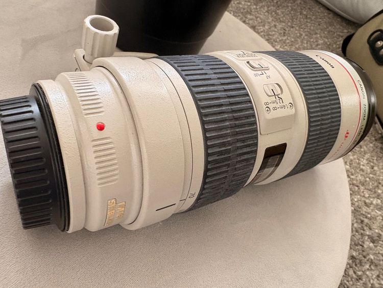 Canon EF70-200mm（カメラ）の商品画像 - 査定依頼日：2026年6月21日 - 最高査定価格：100,000円