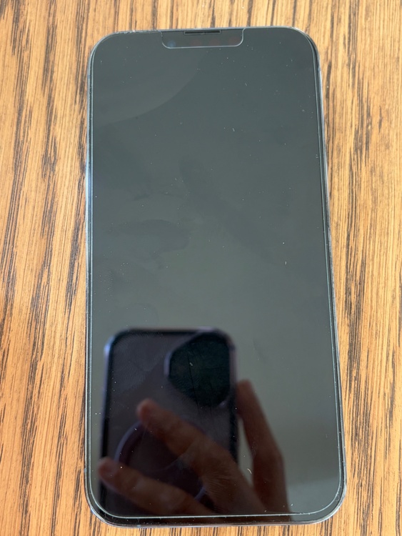 iPhone 13 Pro 256GB SIMフリー（スマホ）の商品画像 - 査定依頼日：2026年2月5日 - 最高査定価格：68,000円