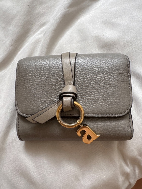 その他 クロエ （ブランドバッグ）の商品画像 - 査定依頼日：2025年7月19日 - 最高査定価格：10,000円