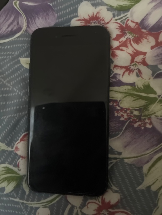 iPhone SE (第 3 世代) 256GB SIMフリー（スマホ）の商品画像 - 査定依頼日：2026年3月25日 - 最高査定価格：35,000円