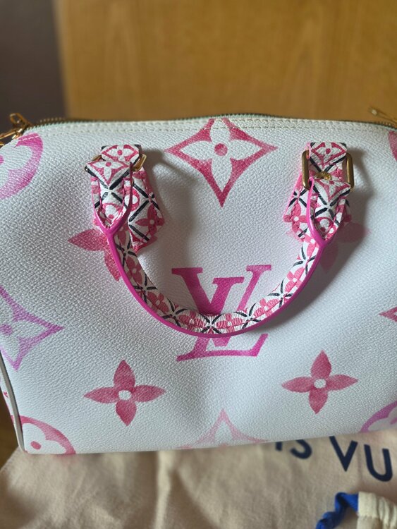 ルイヴィトン スピーディー （ブランドバッグ）の商品画像 - 査定依頼日：2026年3月25日 - 最高査定価格：250,000円