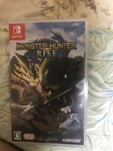 モンスターハンターライズ