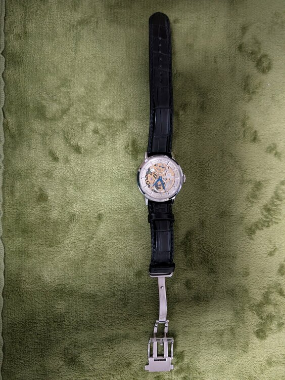 WZ0041DX　オリエント（高級時計）の商品画像 - 査定依頼日：2026年4月8日 - 最高査定価格：35,000円