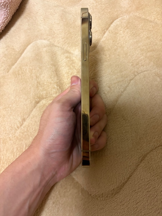 iPhone iPhone 13 Pro Max 256GB SIMフリー（スマホ）の商品画像 - 査定依頼日：2026年6月9日 - 最高査定価格：62,000円