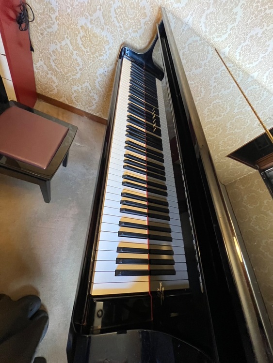 C3AE6004374（ピアノ・楽器・PA機材）の商品画像 - 査定依頼日：2025年11月29日 - 最高査定価格：3,000円