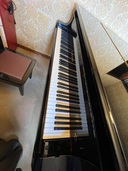 C3AE6004374（ピアノ・楽器・PA機材）の商品画像 - 査定依頼日：2025年11月29日 - 最高査定価格：3,000円