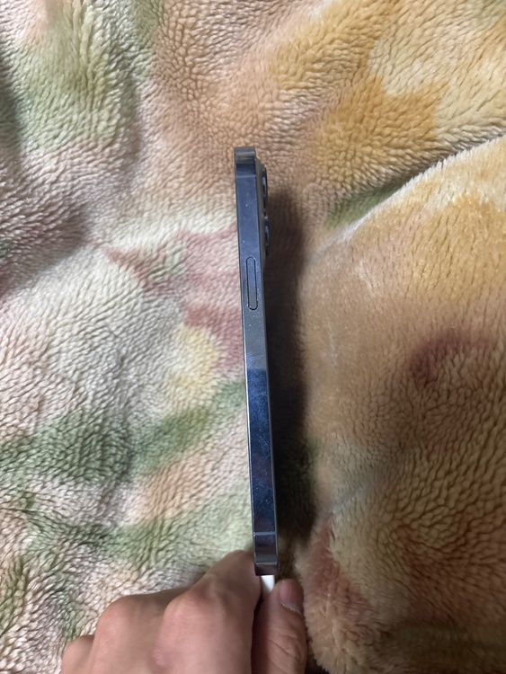 iPhone 13 Pro 256GB au（スマホ）の商品画像 - 査定依頼日：2026年3月1日 - 最高査定価格：31,000円