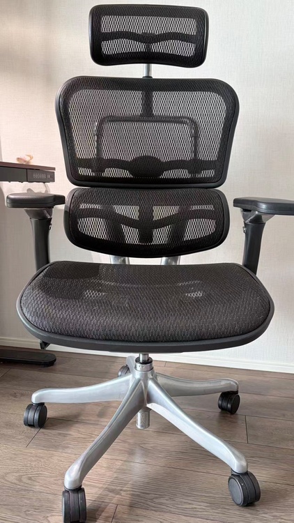 ergohuman PRO EHP-HAM KM-11（家具・寝具）の商品画像 - 査定依頼日：2026年7月20日 - 最高査定価格：7,000円