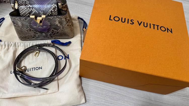 カプシーヌミニ（ブランドバッグ）の商品画像 - 査定依頼日：2026年3月29日 - 最高査定価格：550,000円