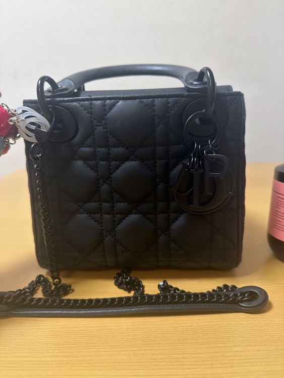 レディーディオール（ブランドバッグ）の商品画像 - 査定依頼日：2025年11月16日 - 最高査定価格：350,000円