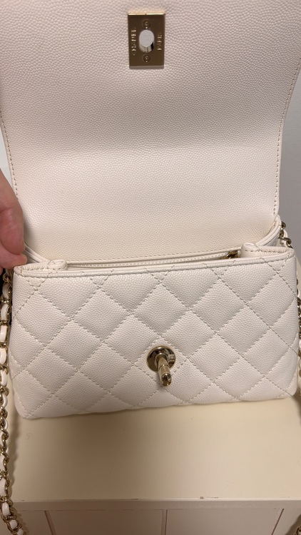 AS2215（ブランドバッグ）の商品画像 - 査定依頼日：2025年11月17日 - 最高査定価格：520,000円