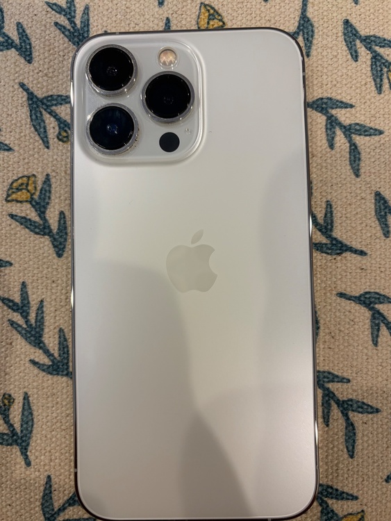 iPhone iPhone 13 Pro 256GB SIMフリー（スマホ）の商品画像 - 査定依頼日：2026年9月9日 - 最高査定価格：54,000円