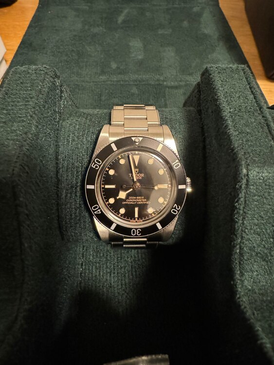 ブラックベイ54 ステンレスベルト（高級時計）の商品画像 - 査定依頼日：2025年1月24日 - 最高査定価格：400,000円