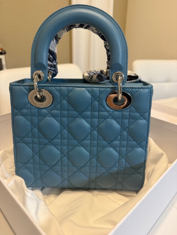 レディディオール（ブランドバッグ）の商品画像 - 査定依頼日：2026年2月21日 - 最高査定価格：320,000円