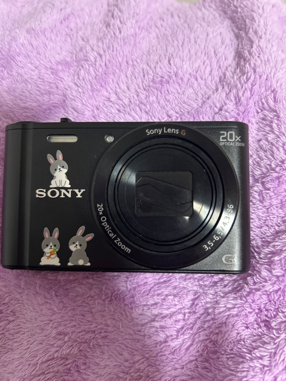 Sony DSC-WX300（カメラ）の商品画像 - 査定依頼日：2026年3月18日 - 最高査定価格：22,000円