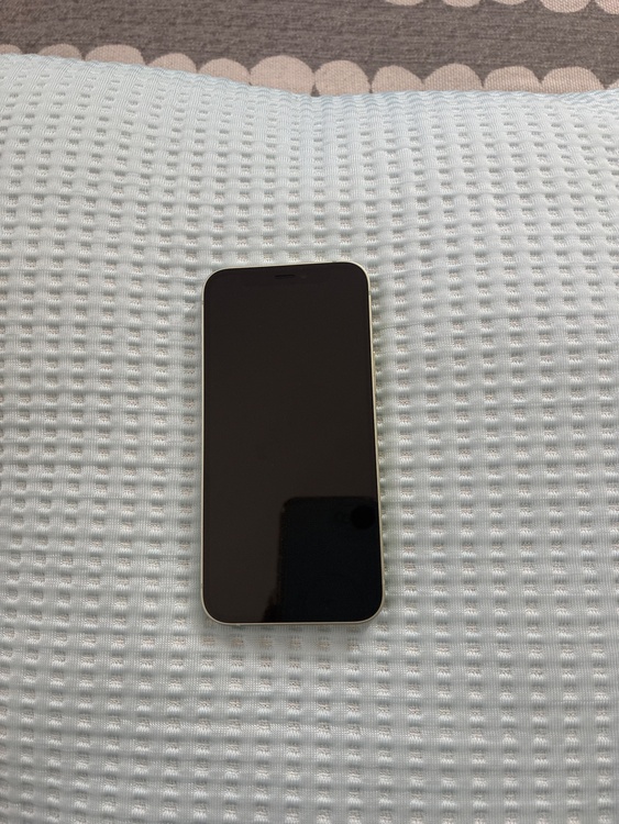 iPhone iPhone 12 mini 64GB SIMフリー（スマホ）の商品画像 - 査定依頼日：2026年8月26日 - 最高査定価格：20,000円